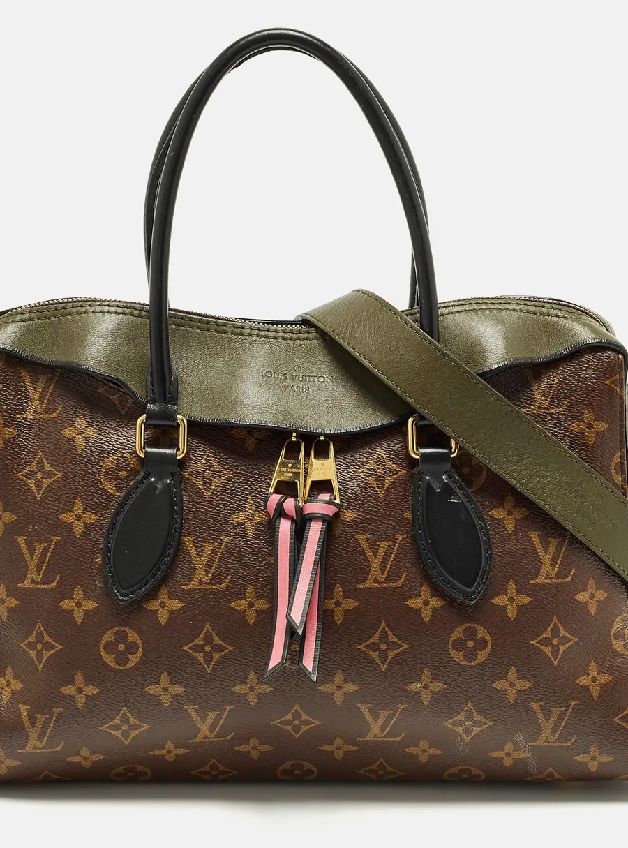 Louis Vuitton Tuileries NM Tricolor Monogram Canvas and Leather Bag