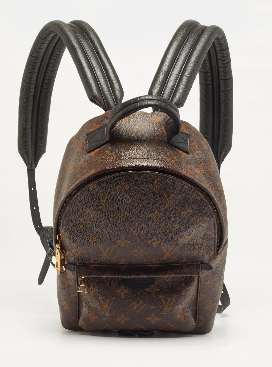 Louis Vuitton Palm Springs PM Monogram Canvas Backpack