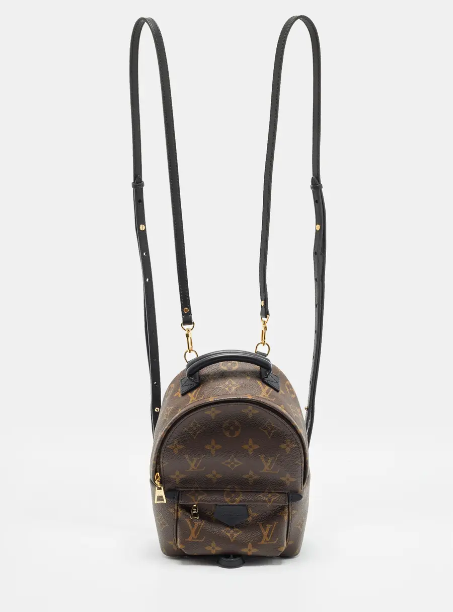 Louis Vuitton Palm Springs Mini Monogram Canvas Backpack