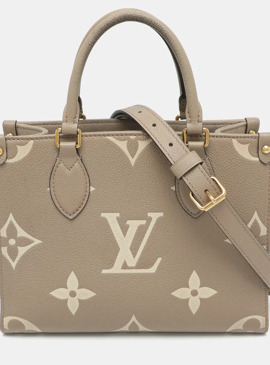 Louis Vuitton Onthego PM Bicolor Monogram Empreinte Bag