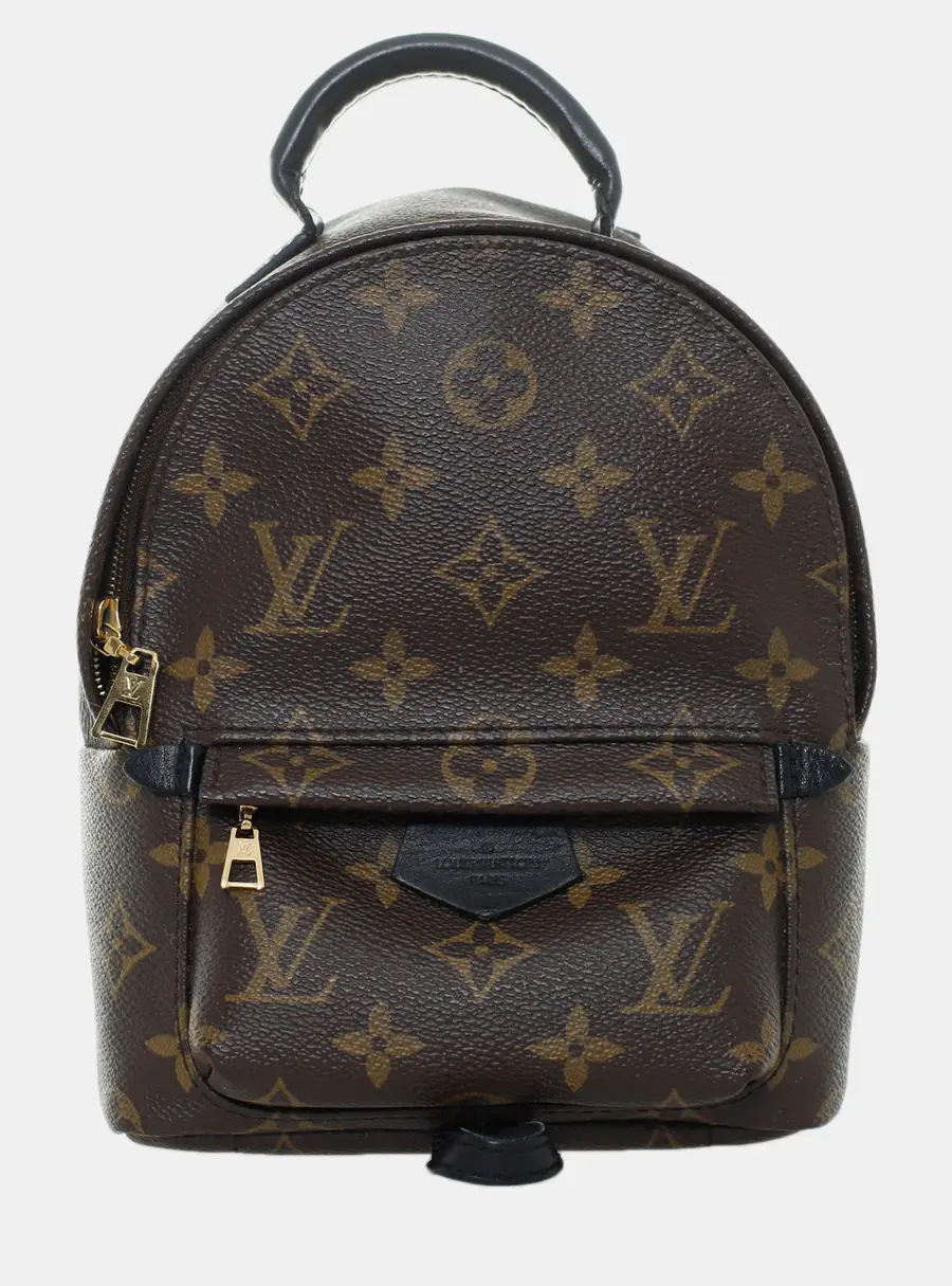 Louis Vuitton Mini Palm Springs Monogram Mini Backpack Brown Monogram Canvas Backpack Bag