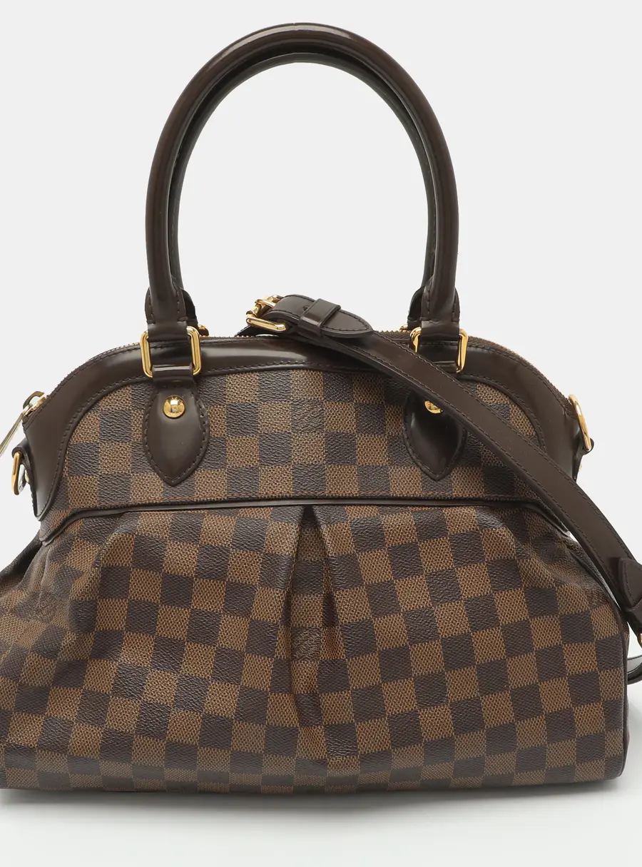 Louis Vuitton Trevi PM Damier Ebene Canvas Bag