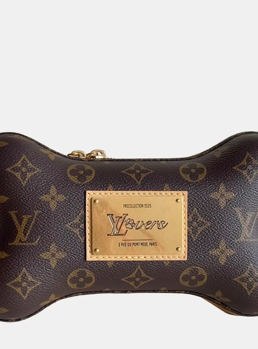 Louis Vuitton Pharrell Williams Bone Bone Bag Brown Monogram Canvas Crossbody Bag