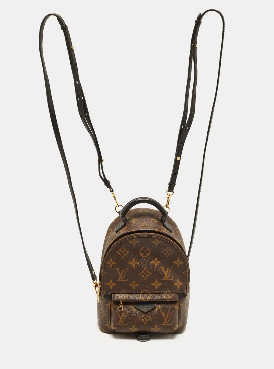 Louis Vuitton Palm Springs Mini Monogram Canvas Backpack