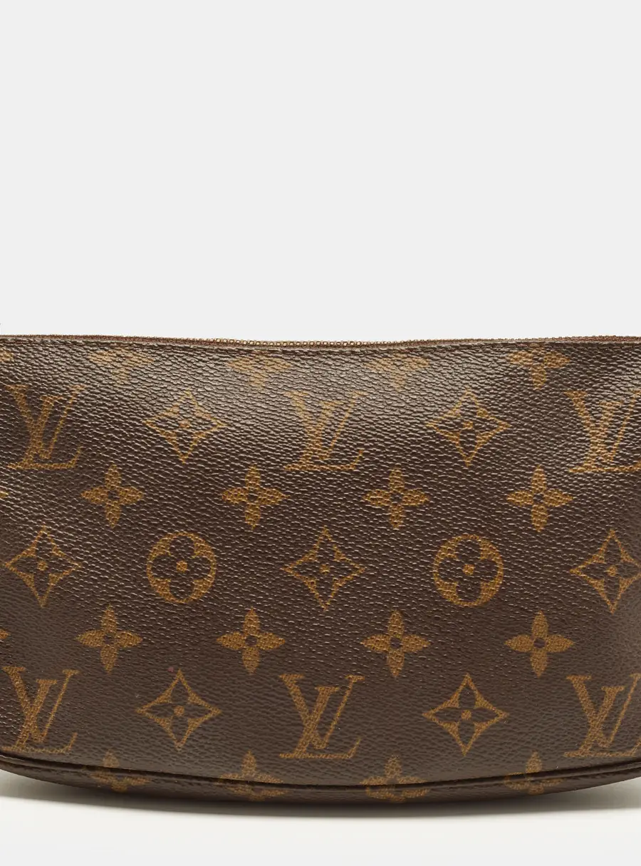 Louis Vuitton Pochette Accessoires Monogram Canvas Bag