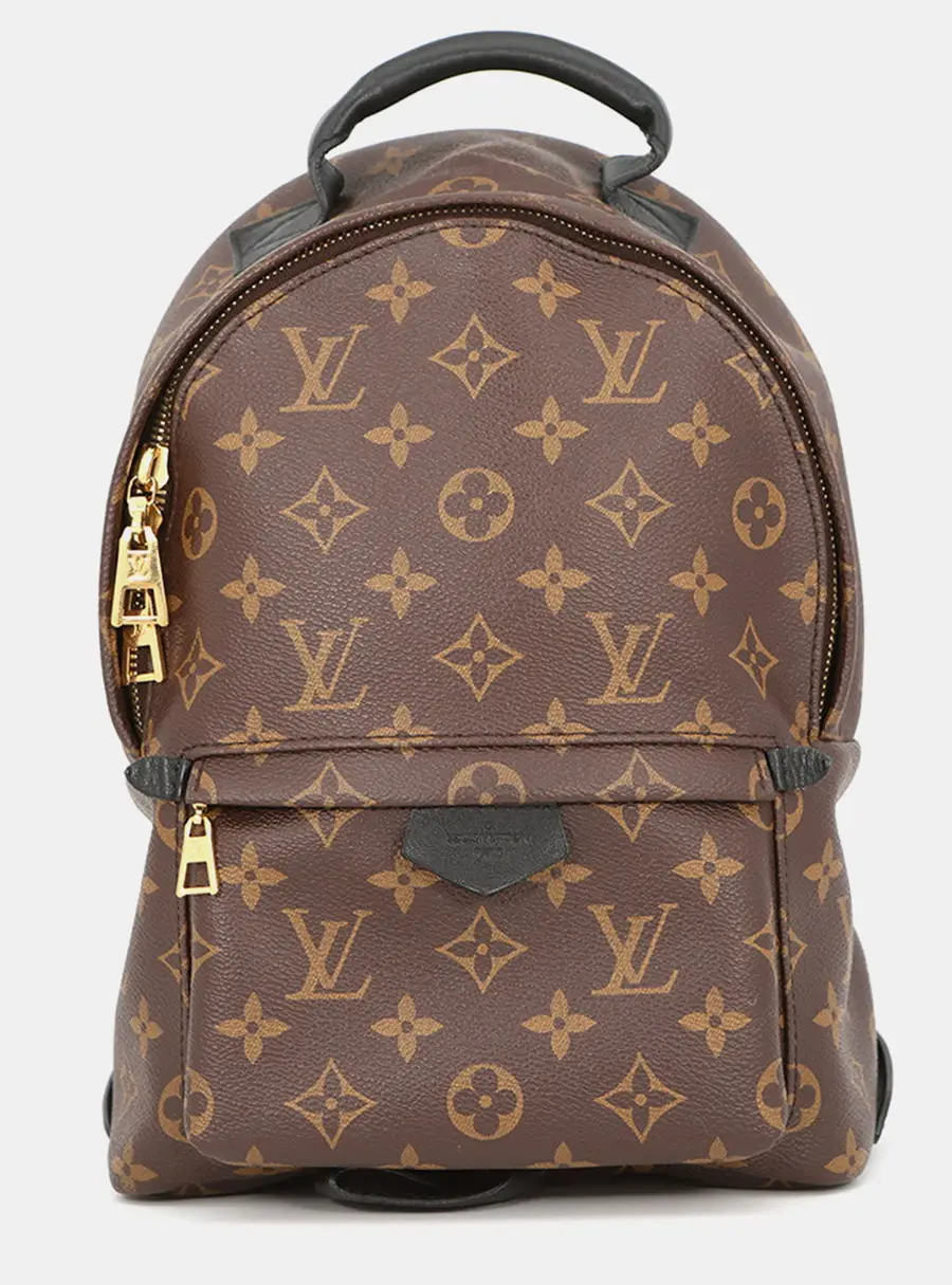 Louis Vuitton Palm Springs PM Brown Monogram Canvas Backpack Bag