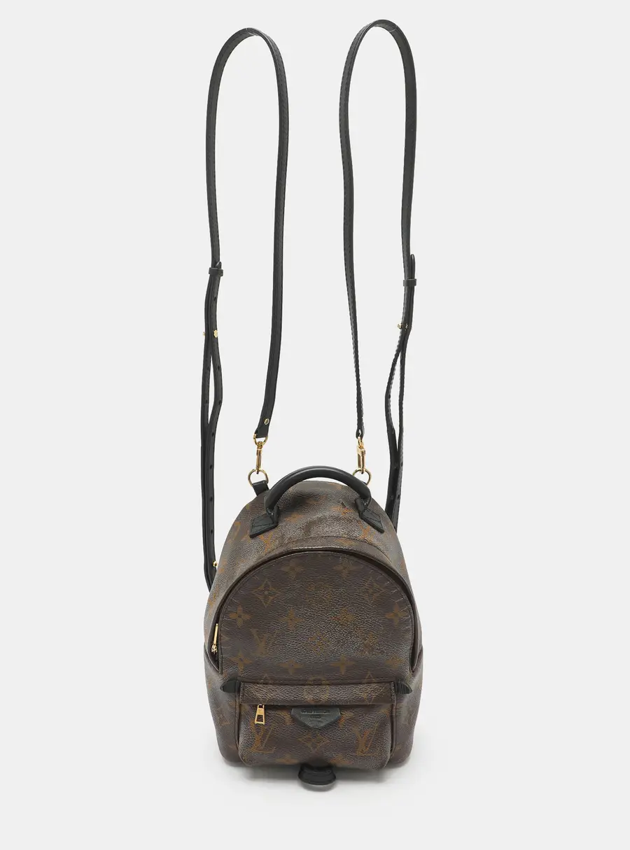 Louis Vuitton Palm Springs Mini Monogram Canvas Backpack