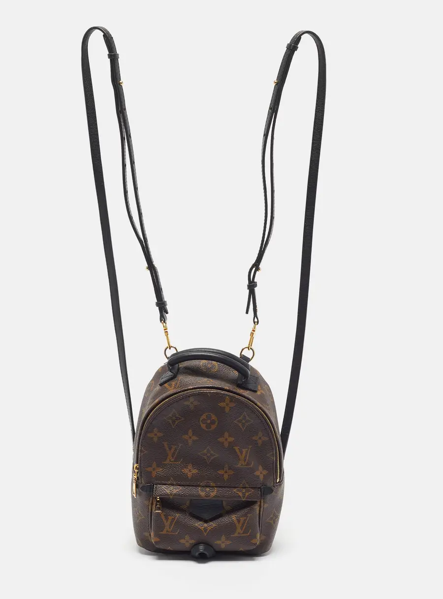 Louis Vuitton Palm Springs Mini Monogram Canvas Backpack