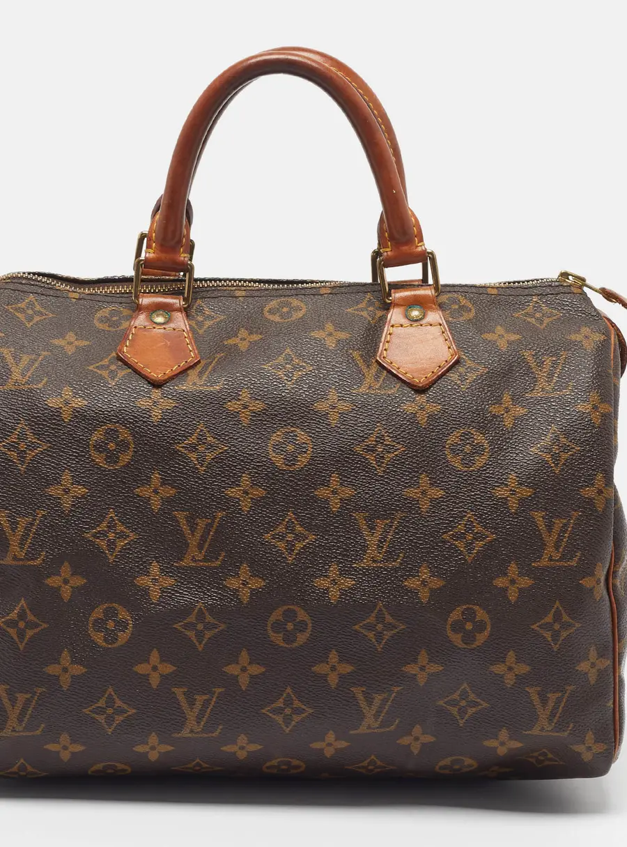 Louis Vuitton Speedy 30 Monogram Canvas Bag