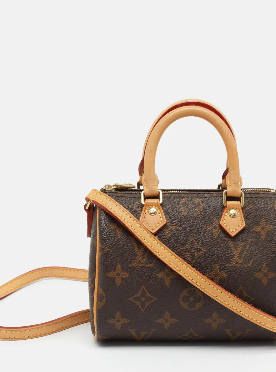 Louis Vuitton Speedy Nano Monogram Canvas Bag