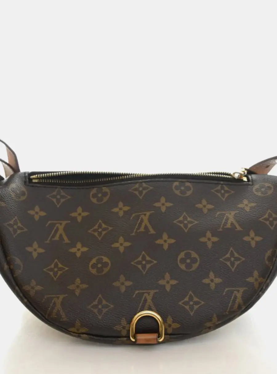 Louis Vuitton Bumbag Classic Brown Monogram Canvas Waist Bag