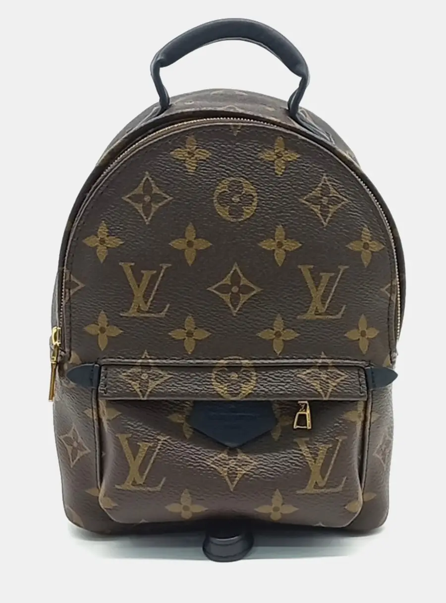 Louis Vuitton Brown PVC Palm Springs Mini Backpack