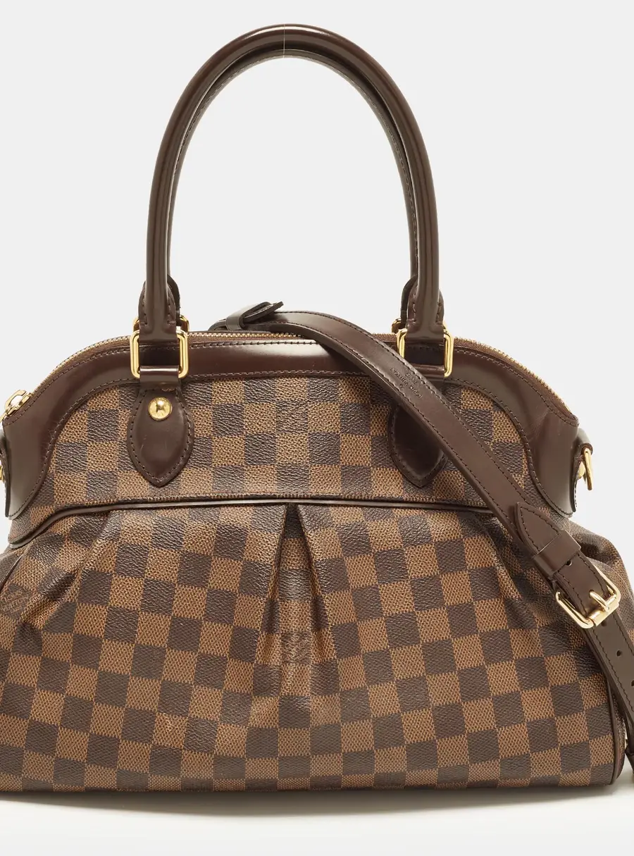 Louis Vuitton Trevi PM Damier Ebene Canvas Bag