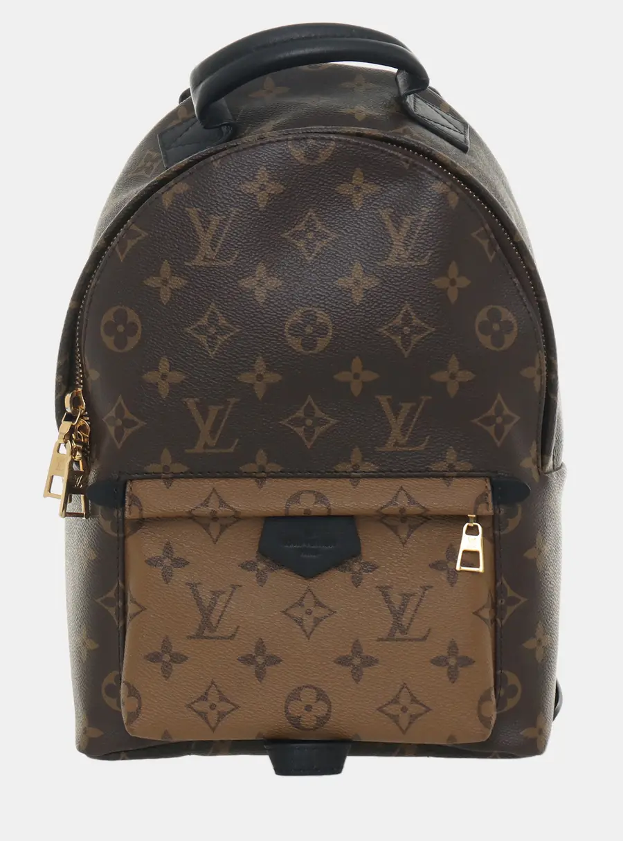 Louis Vuitton Palm Springs PM Monogram Canvas Backpack Bag