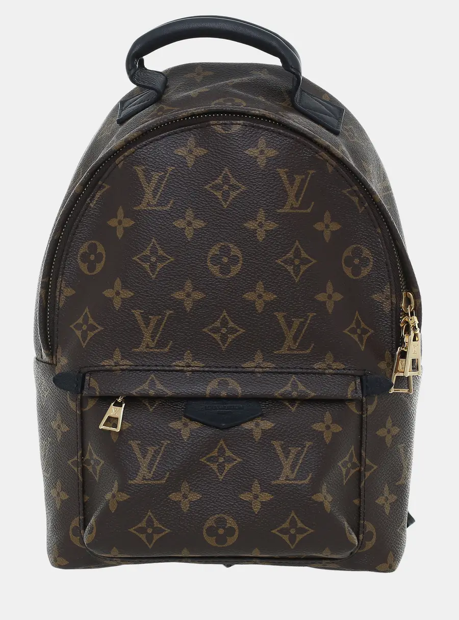 Louis Vuitton Palm Springs PM Monogram Canvas Backpack Bag