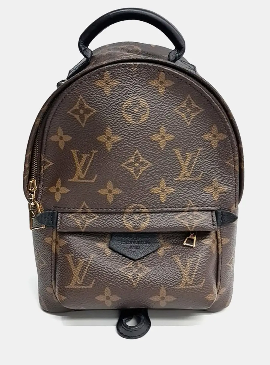Louis Vuitton Brown PVC Palm Springs Mini Backpack