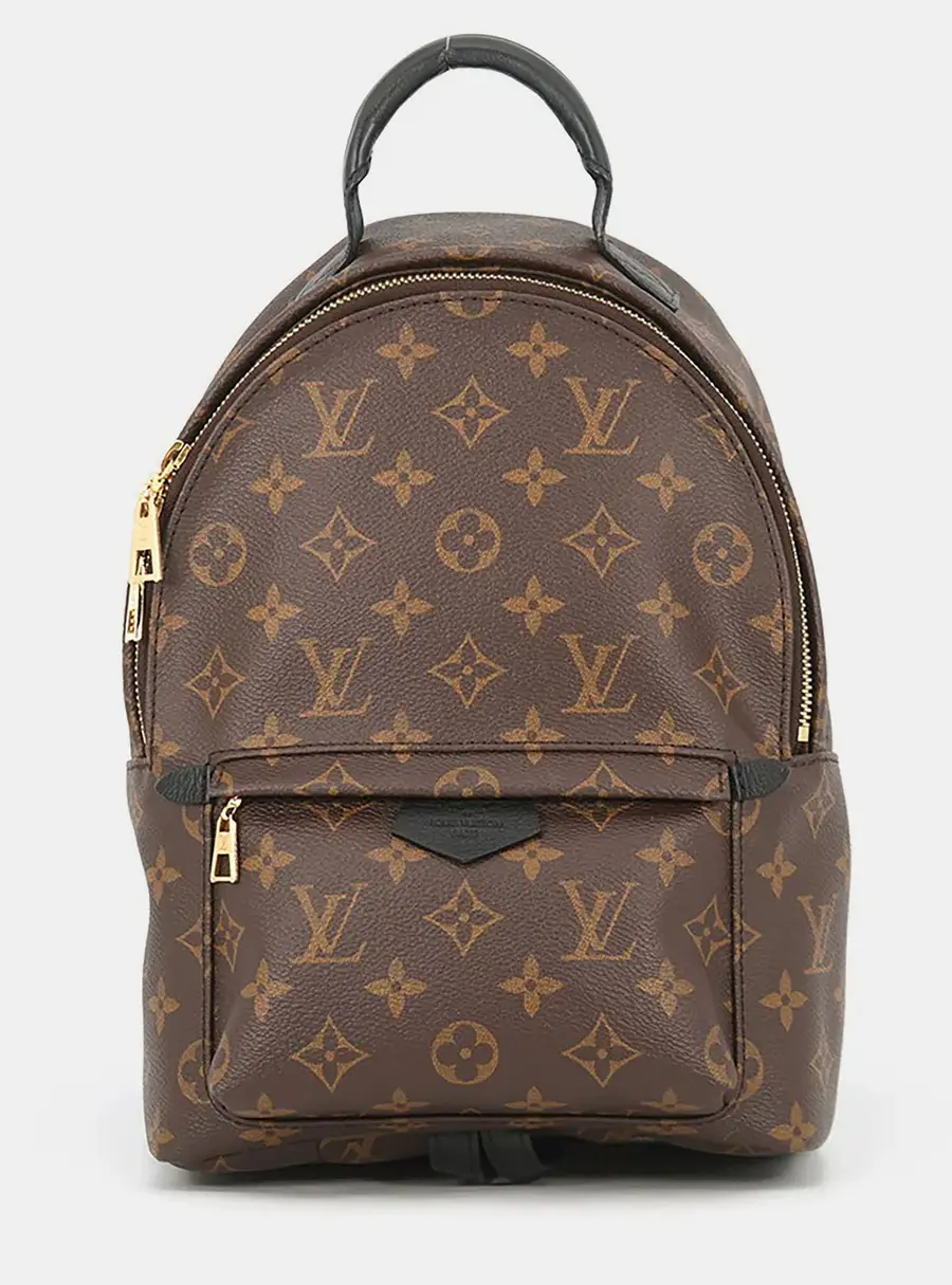 Louis Vuitton Palm Springs Backpack Noir Monogram Size Pm