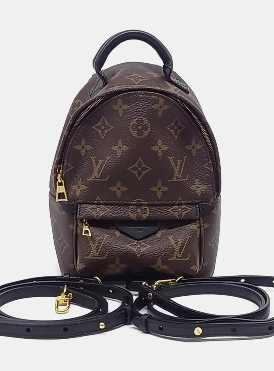 Louis Vuitton Brown PVC Palm Springs Backpack Mini