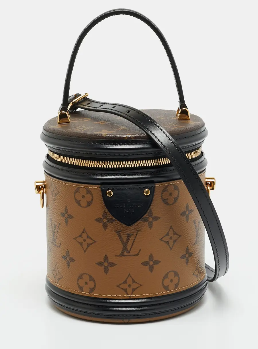 Louis Vuitton Cannes Monogram Reverse Canvas and Leather Bag