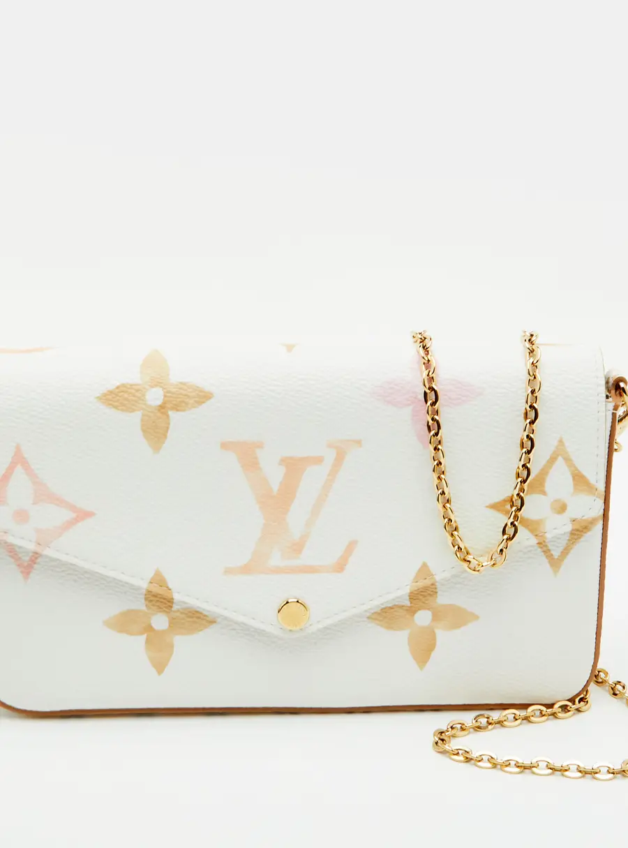 Louis Vuitton Monogram Giant Watercolor By The Pool Pochette Felicie Bag