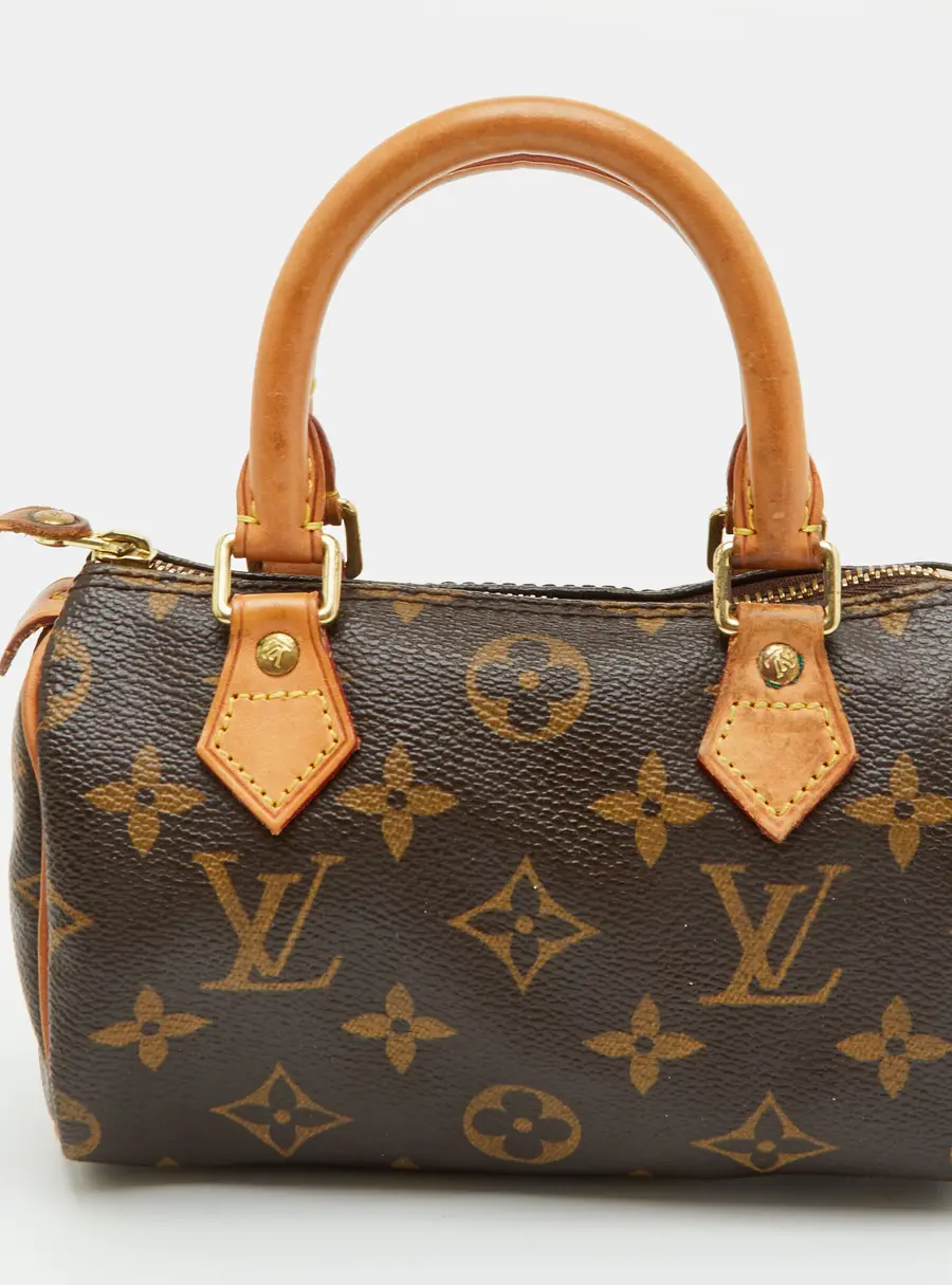 Louis Vuitton Speedy Nano Monogram Canvas Bag