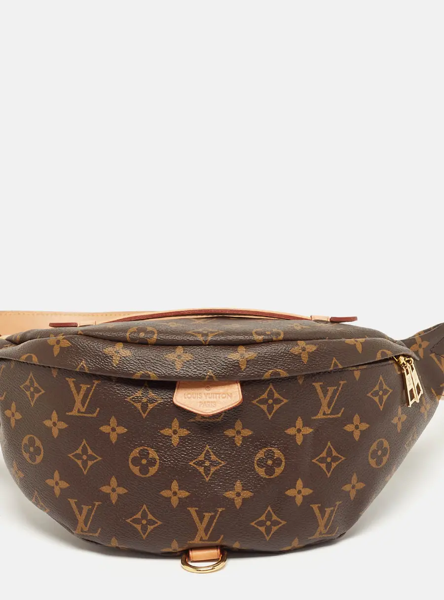 Louis Vuitton Monogram Canvas Bum Bag