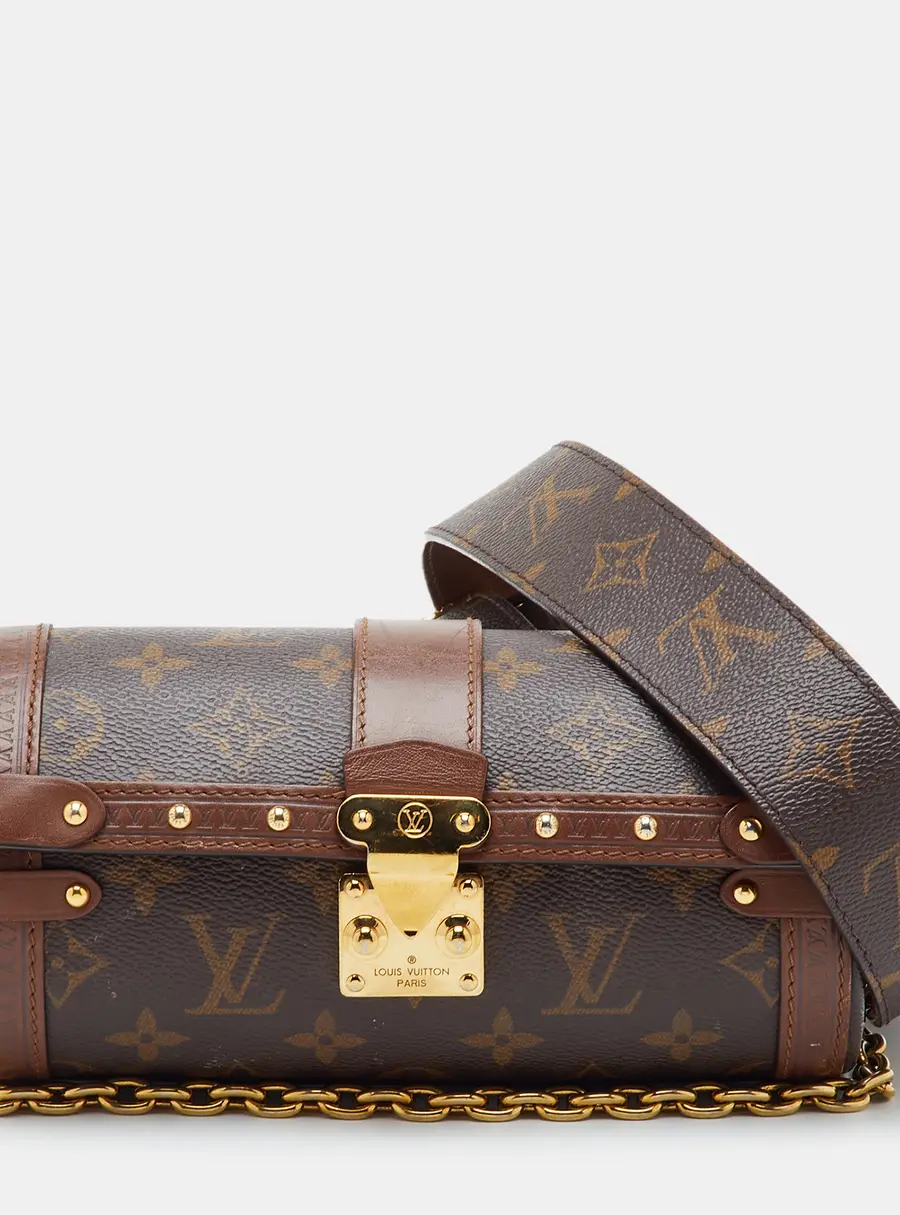 Louis Vuitton Monogram Canvas Papillon Trunk Bag