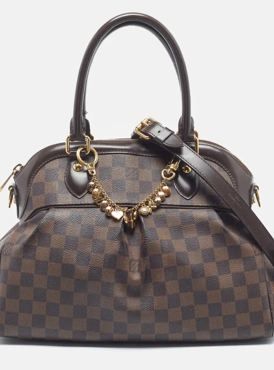 Louis Vuitton Trevi PM Damier Ebene Canvas Bag