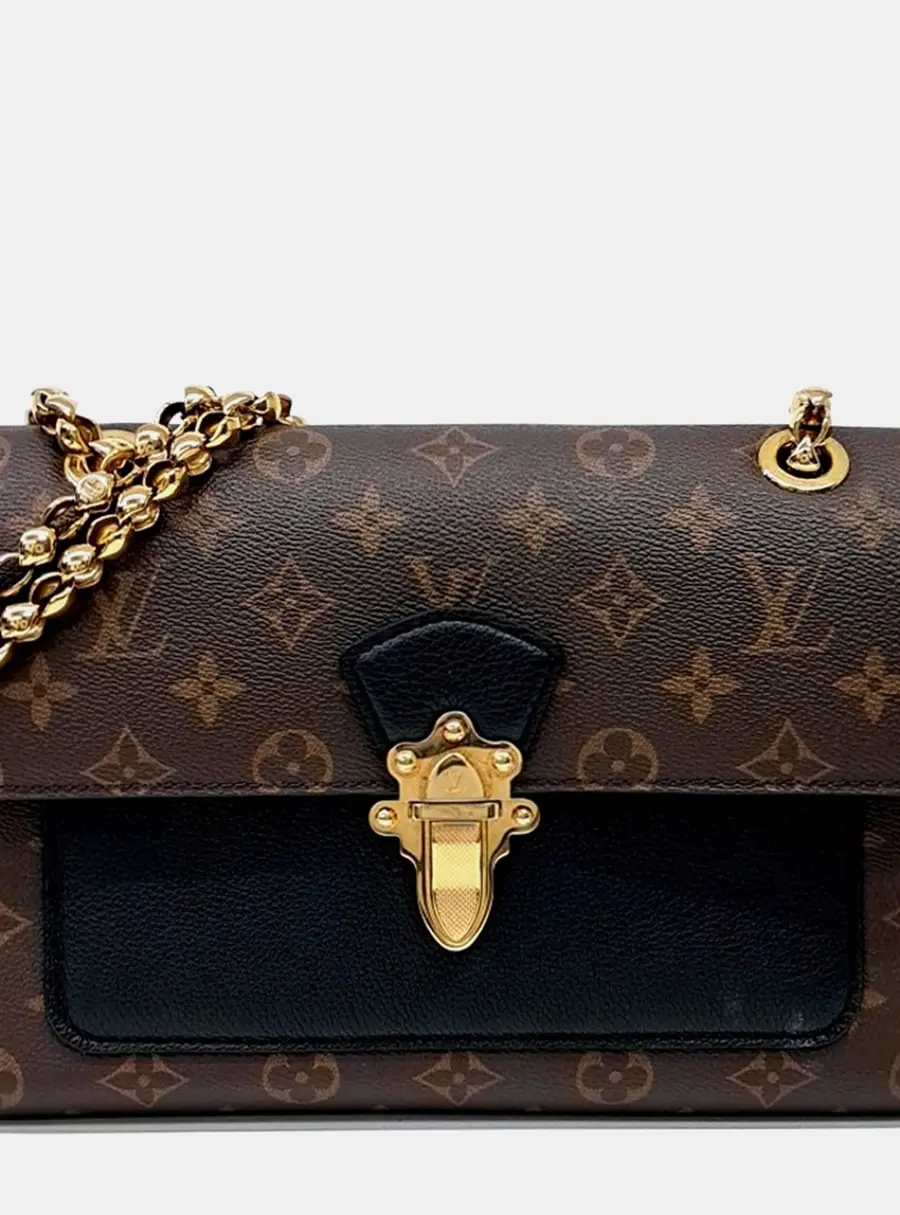 Louis Vuitton Multicolor PVC Louis Victoire