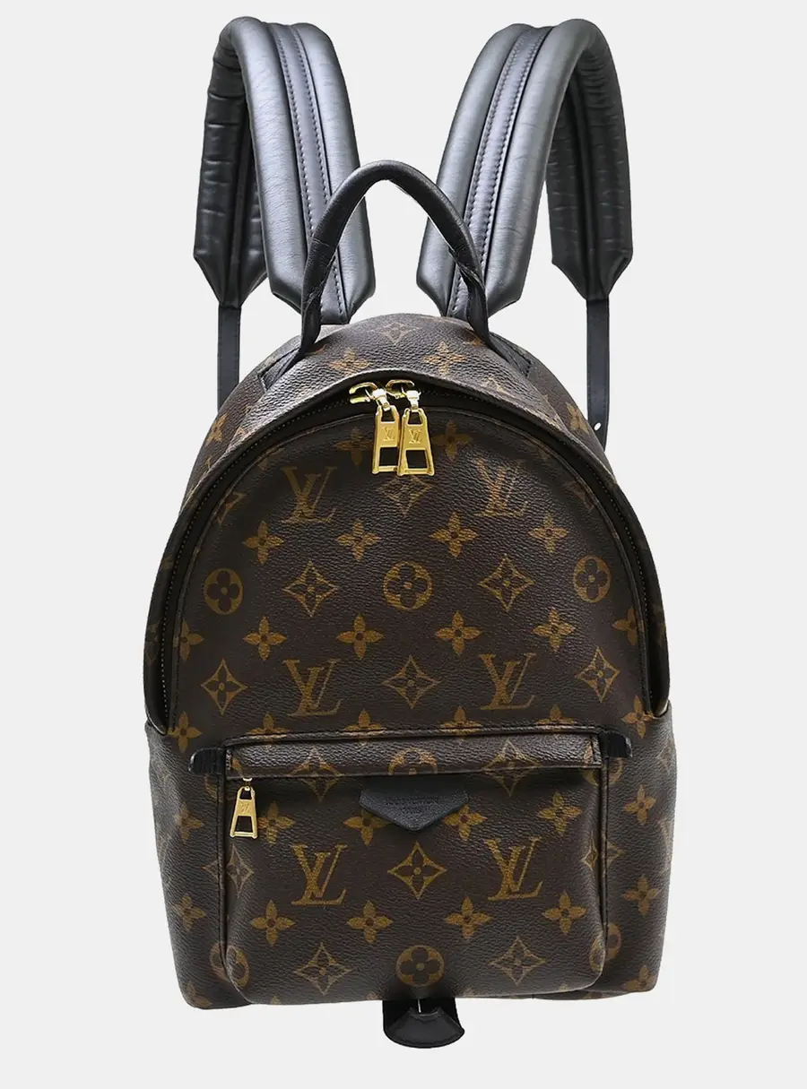 Louis Vuitton Palm Springs PM Brown Monogram Canvas Backpack Bag