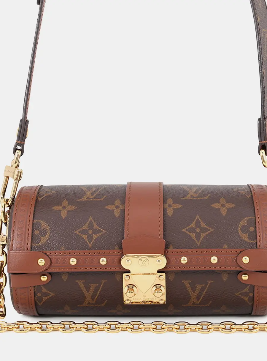 Louis Vuitton Papillon Trunk PM Brown Monogram Canvas Crossbody Bag