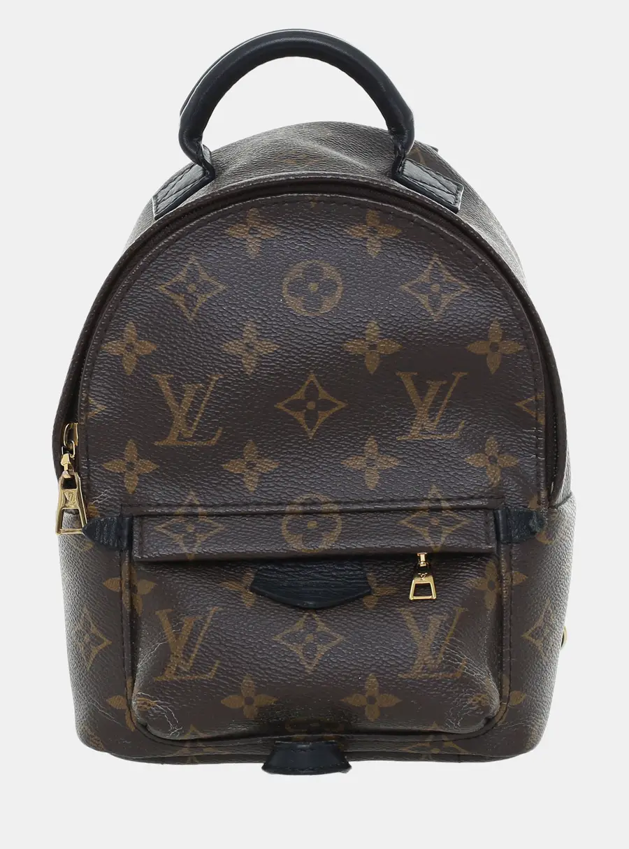 Louis Vuitton Palm Spring Mini Brown Monogram