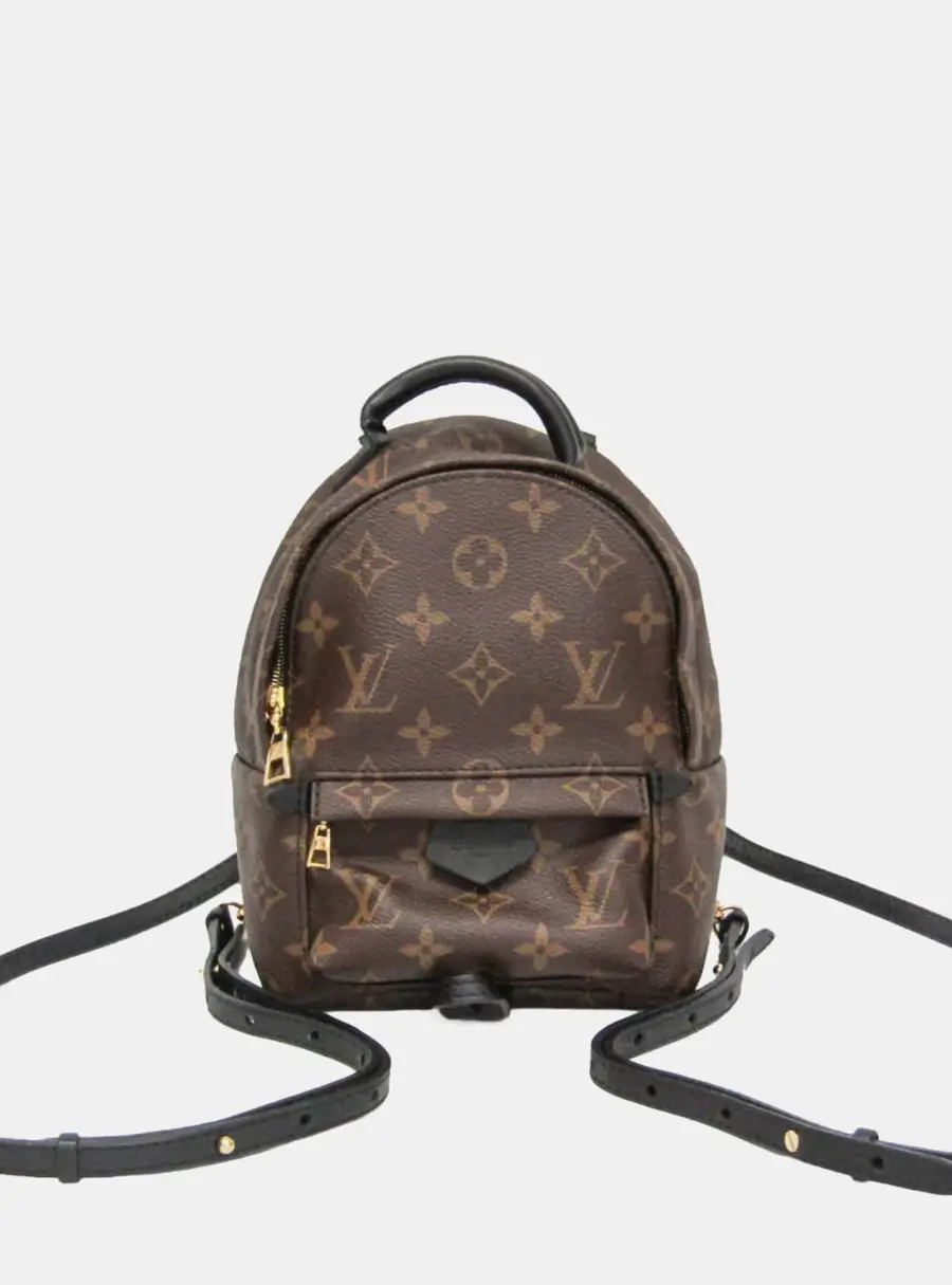 Louis Vuitton Palm Springs Mini Brown Monogram Canvas Backpack Bag